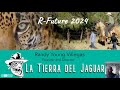 Thumbnail for La Tierra Del Jaguar with Randy Young Villegas | R-Future 2024 REWIND