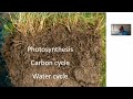 Thumbnail for John Geraghty - BioFarm 2020 - Day 5