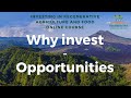 Thumbnail for 4 Why invest  -  Opportunities