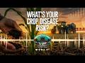 Thumbnail for Farming Podcast | Fungicide, Fertilizer, Fuel, and Finances — How to Make It All Work