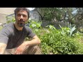 Thumbnail for Spring Tour: Suburban Permaculture with Matt Powers