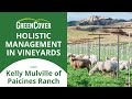 Thumbnail for Holistic Management in Vineyards with Kelly Mulville of Paicines Ranch
