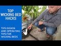 Thumbnail for Live Q&A With Rob Avis on Wicking Beds