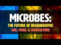 Thumbnail for MICROBES: The Future of Regenerative Soil, Health, & Agriculture with Matt Powers