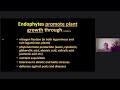 Thumbnail for Dr Christine Jones - BioFarm 2021 Day 3