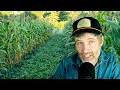 Thumbnail for Tips for Building a Resilient Farm