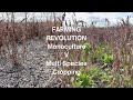 Thumbnail for Ground Cover During Cropping- Kevin Elmy, Rob Heatherington & Russell...