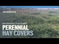 Thumbnail for Perennial Hay Covers: Light & Heavy Land