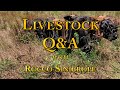 Thumbnail for Livestock Q & A