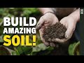 Thumbnail for How To Build Fertile HEALTHY Soil | Raised Bed Organic Gardening