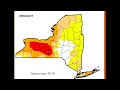 Thumbnail for Silvopasture & Climate Change, Part 1 (Steve Gabriel)