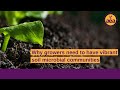 Thumbnail for Why growers need to have vibrant soil microbial communities | Regenerative...