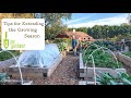 Thumbnail for Tips for Extending the Growing Season