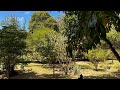 Thumbnail for Climate-Proof Your Food: Permaculture & Agroforestry