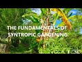 Thumbnail for The Fundamentals of Syntropic Gardening