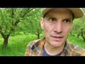 Thumbnail for Soil Health Orchard Grazing - Walk n Talk