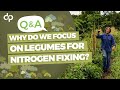 Thumbnail for Why Do We Focus on Legumes for Nitrogen-Fixing?