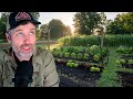 Thumbnail for Shade is the New Fertilizer? + How to Buy Great Seedlings