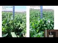 Thumbnail for Matt Ruark OGRAIN 2020 - Build fertility and provide N with cover crops