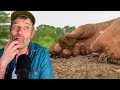 Thumbnail for Dry Farming in Dry Climates + Biggest Regrets in Starting a Farm