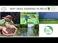 Thumbnail for NOTS SnailSeminar EvaMilka GailicEscargot 14NOv16