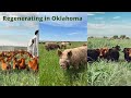 Thumbnail for Regenerative Agriculture with Re.Farm - Regenerating Oklahoma & growing a...