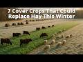 Thumbnail for 7 Cover Crops That Can Replace Hay This Winter