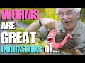 Thumbnail for WORMS in your SOIL are a GREAT INDICATOR OF...