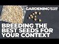 Thumbnail for Breeding Seeds That Best Fit Your Growing Conditions