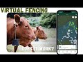 Thumbnail for Virtual Fencing for Rotational Grazing in Regenerative Agriculture