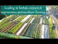 Thumbnail for Herb Pharm - Regenerative Supplements & Herbals