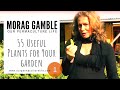 Thumbnail for 55 Useful Plants For Your Garden  - https://ourpermaculturelife.com
