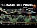 Thumbnail for PERMACULTURE PONDS: Why, Where & How