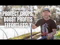 Thumbnail for Smart Farmers Use Low Tunnels: The Most Profitable Crop Protection System |...