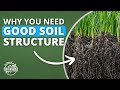 Thumbnail for Building Structure In Soil | Soil Food Web School