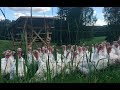 Thumbnail for S4 ● E94 Farm update and Cretan Music