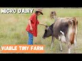 Thumbnail for Amazing Micro Dairy Makes Tiny Farm Viable