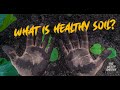 Thumbnail for THE LIFE OF SOIL