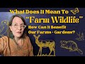 Thumbnail for How Can We “Farm” Wildlife to Enrich Our Garden Ecosystems?