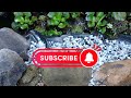 Thumbnail for Ponds in permaculture I #fish #permaculture #aquaponicsystem