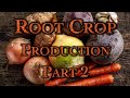 Thumbnail for Root Crop Production Part 2