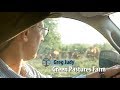 Thumbnail for Greg Judy - Green Pastures Farm - Agroforestry Farm Tour Video Series