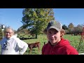 Thumbnail for Greg discusses his strategy for first winter stockpile grazing pass.
