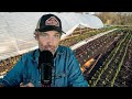 Thumbnail for Does Compost Make Crop Rotations Obsolete + Crop Planning Tips for a CSA