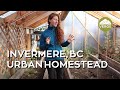 Thumbnail for A Tour of Kalista Pruden's Timber-Frame Greenhouse and Urban Homestead