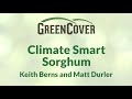 Thumbnail for Climate Smart Sorghum