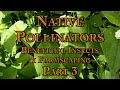 Thumbnail for Native Pollinators, Beneficial Insects & Farmscaping Part 3