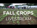 Thumbnail for Fall Crops Livestream