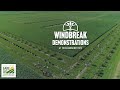 Thumbnail for Windbreak Demonstrations at the Savanna Institute | Agroforestry In Practice