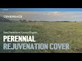 Thumbnail for Perennial Rejuvenation Cover